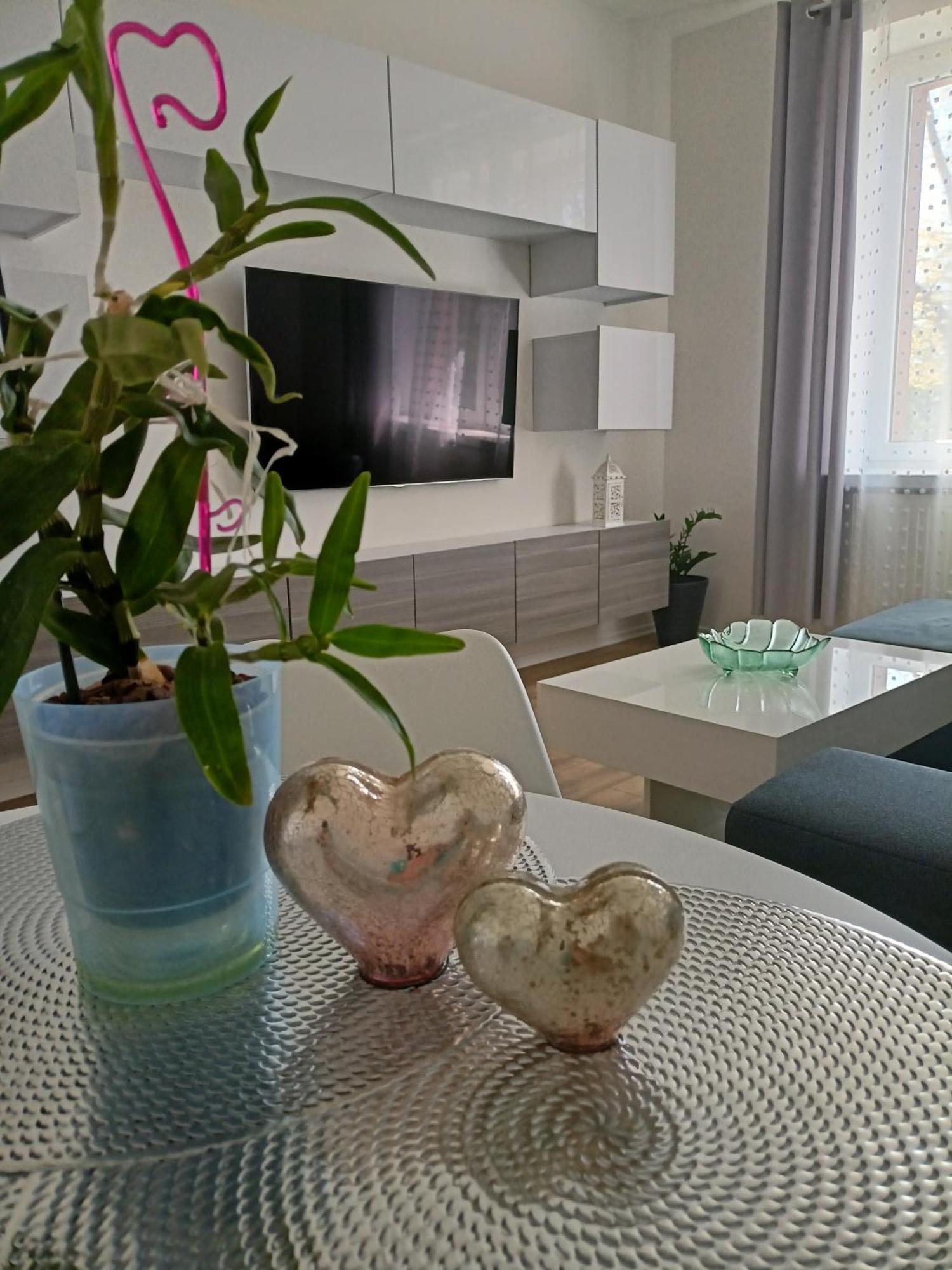 Apartament Slowackiego 41 Jelenia Góra Εξωτερικό φωτογραφία